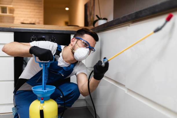 Best Pest Removal Services  in Lake Oswego, OR