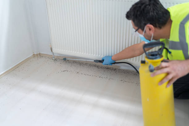 Professional Pest Control in Lake Oswego, OR